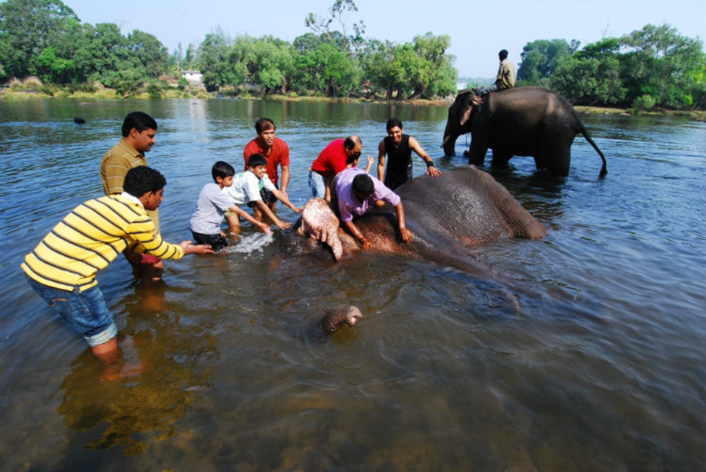 Dubare Elephant Camp