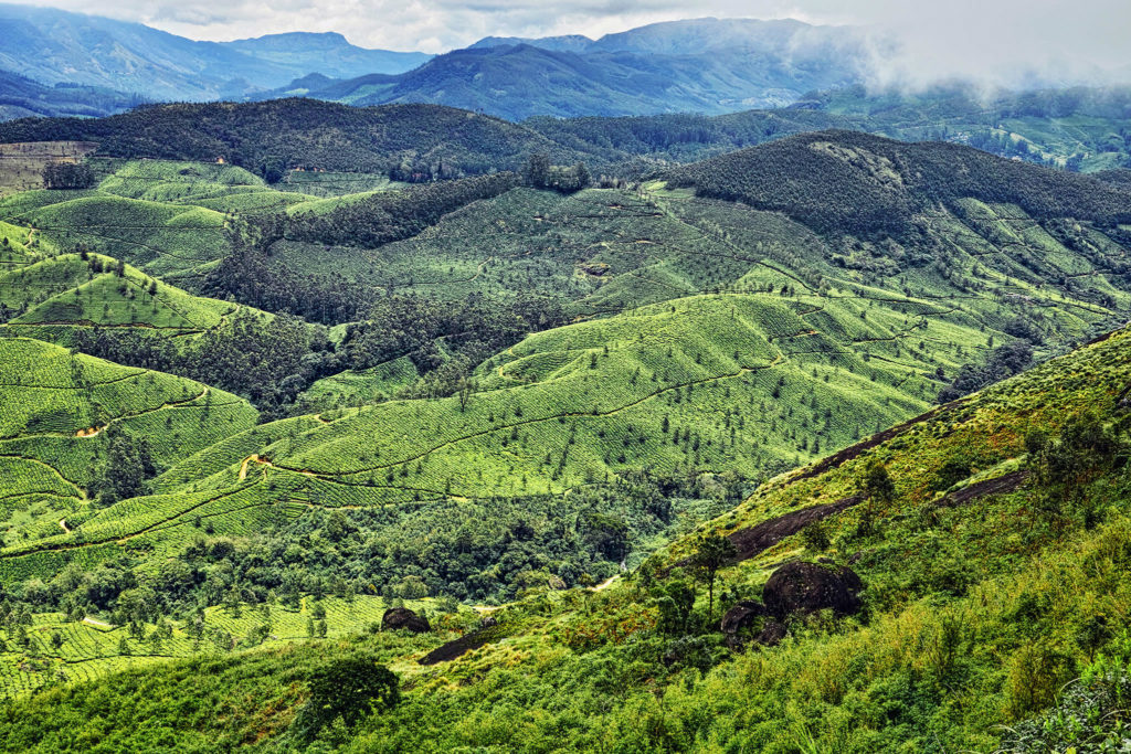 Munnar Pothamedu