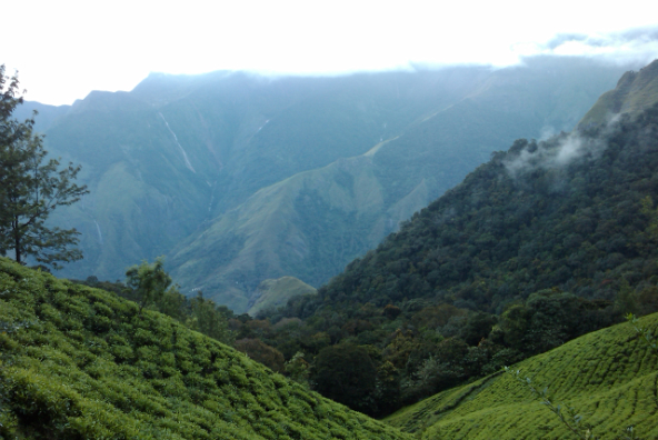 Munnar Top Station