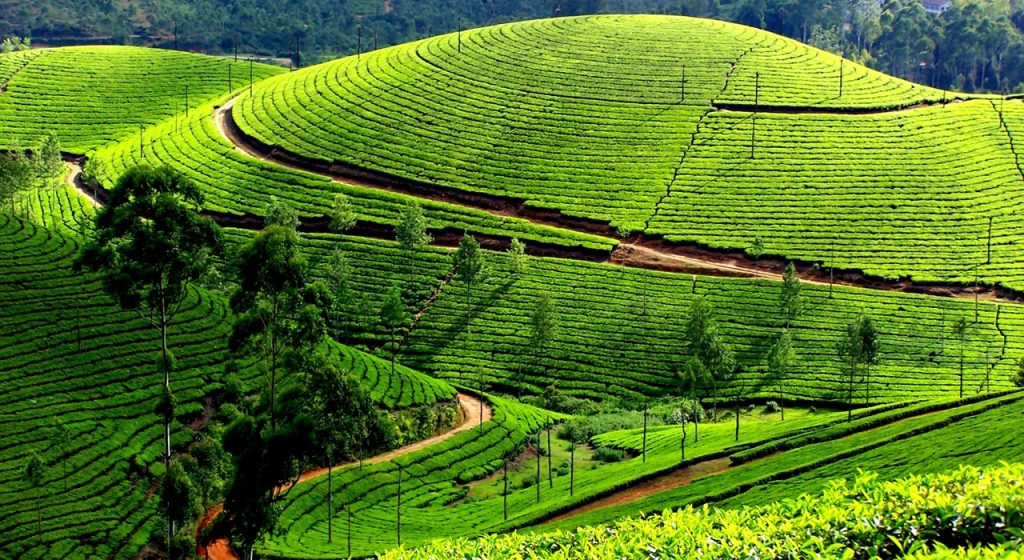 Munnar