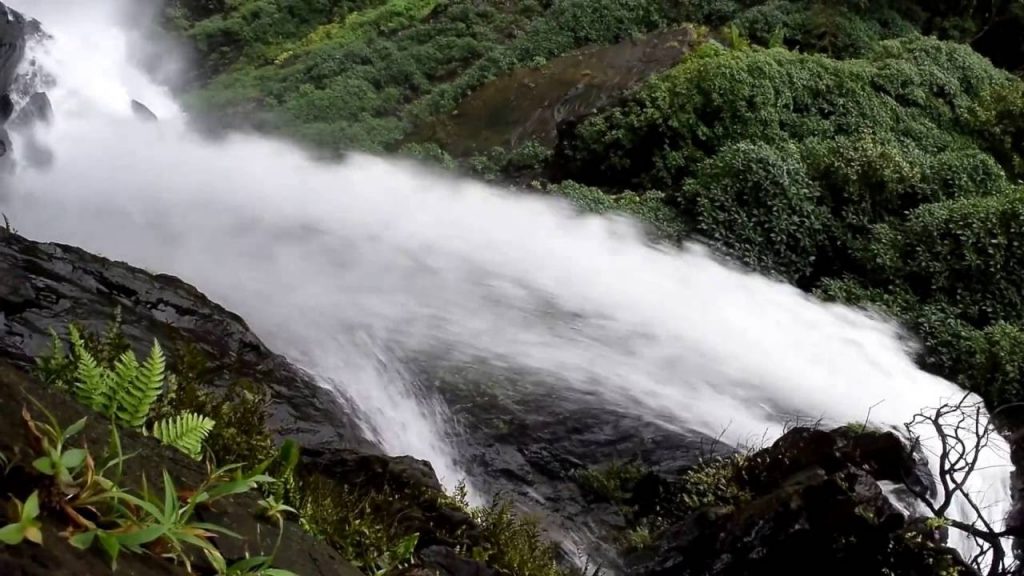 Agumbe