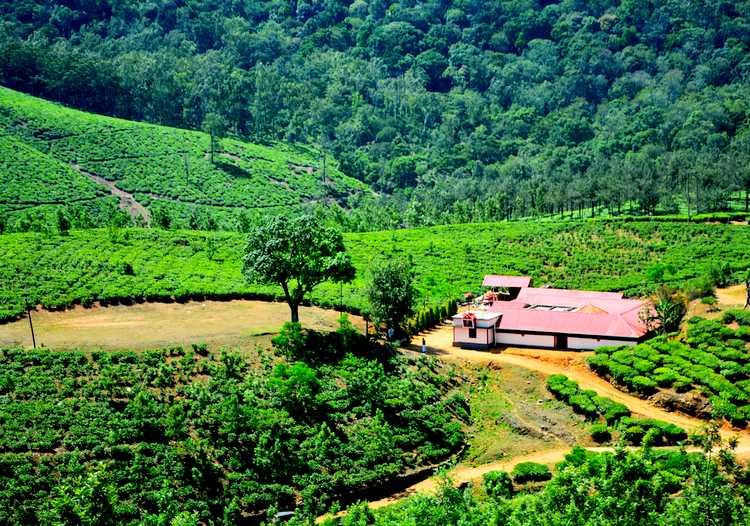 Vagamon