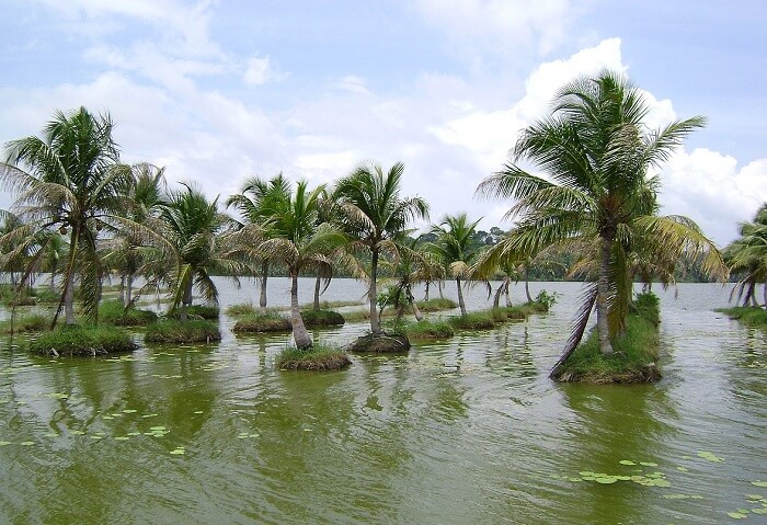 Kovalam Vellayani Lake