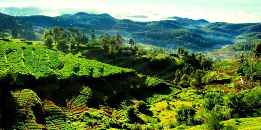Ooty Ketti valley view