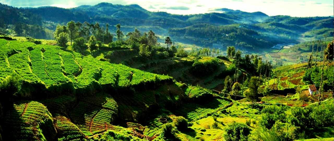 Ooty Ketti valley view